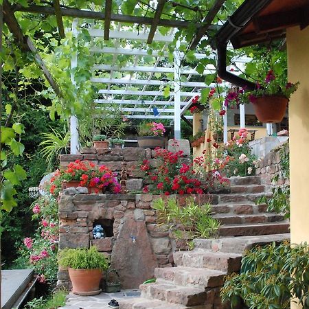 Am Berggarten Heidelberg Exterior foto