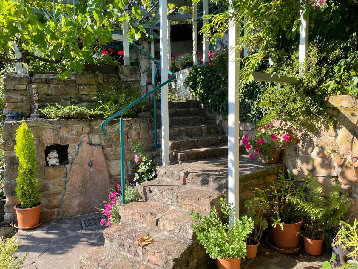 Am Berggarten Heidelberg Exterior foto