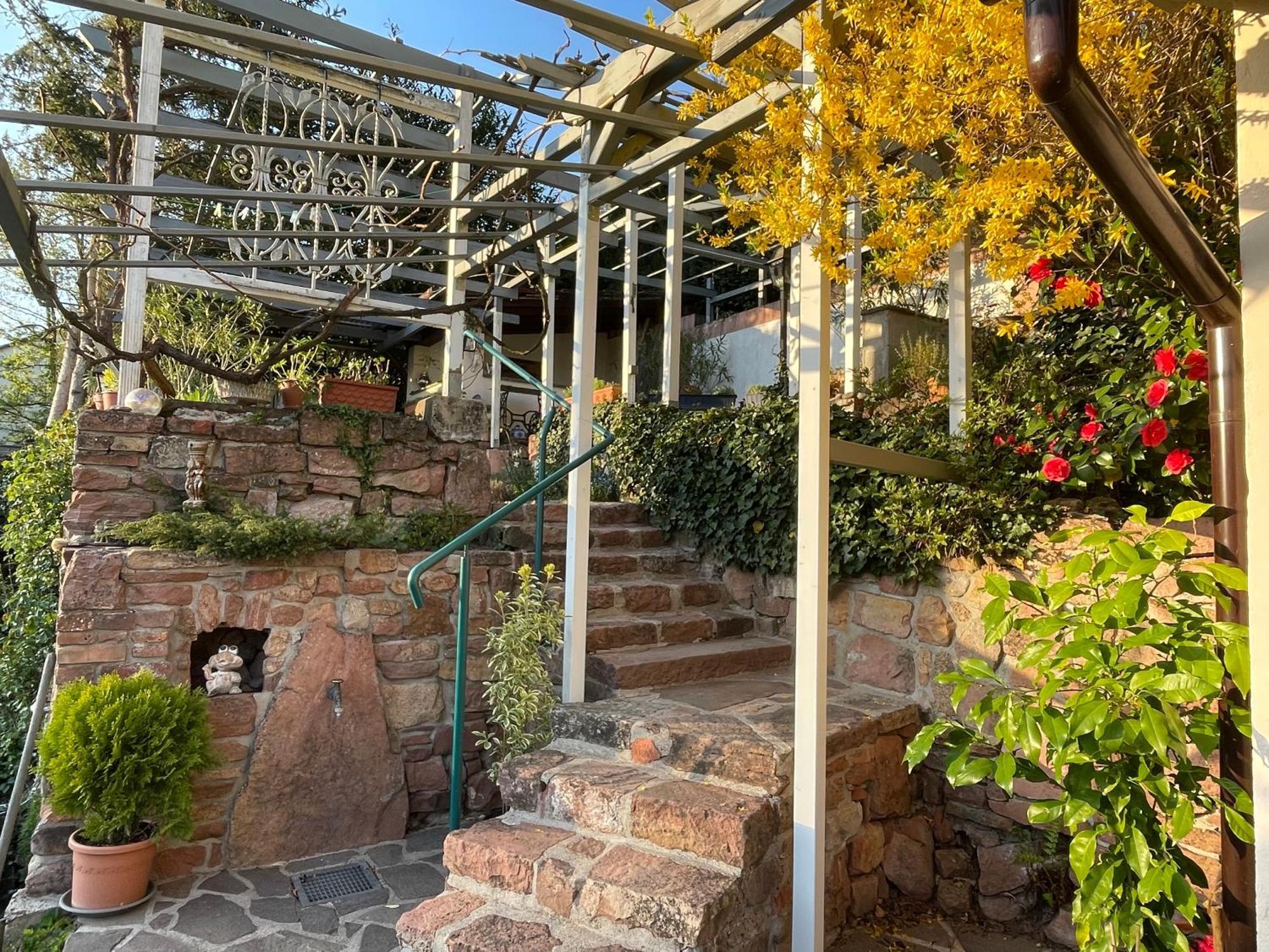 Am Berggarten Heidelberg Exterior foto