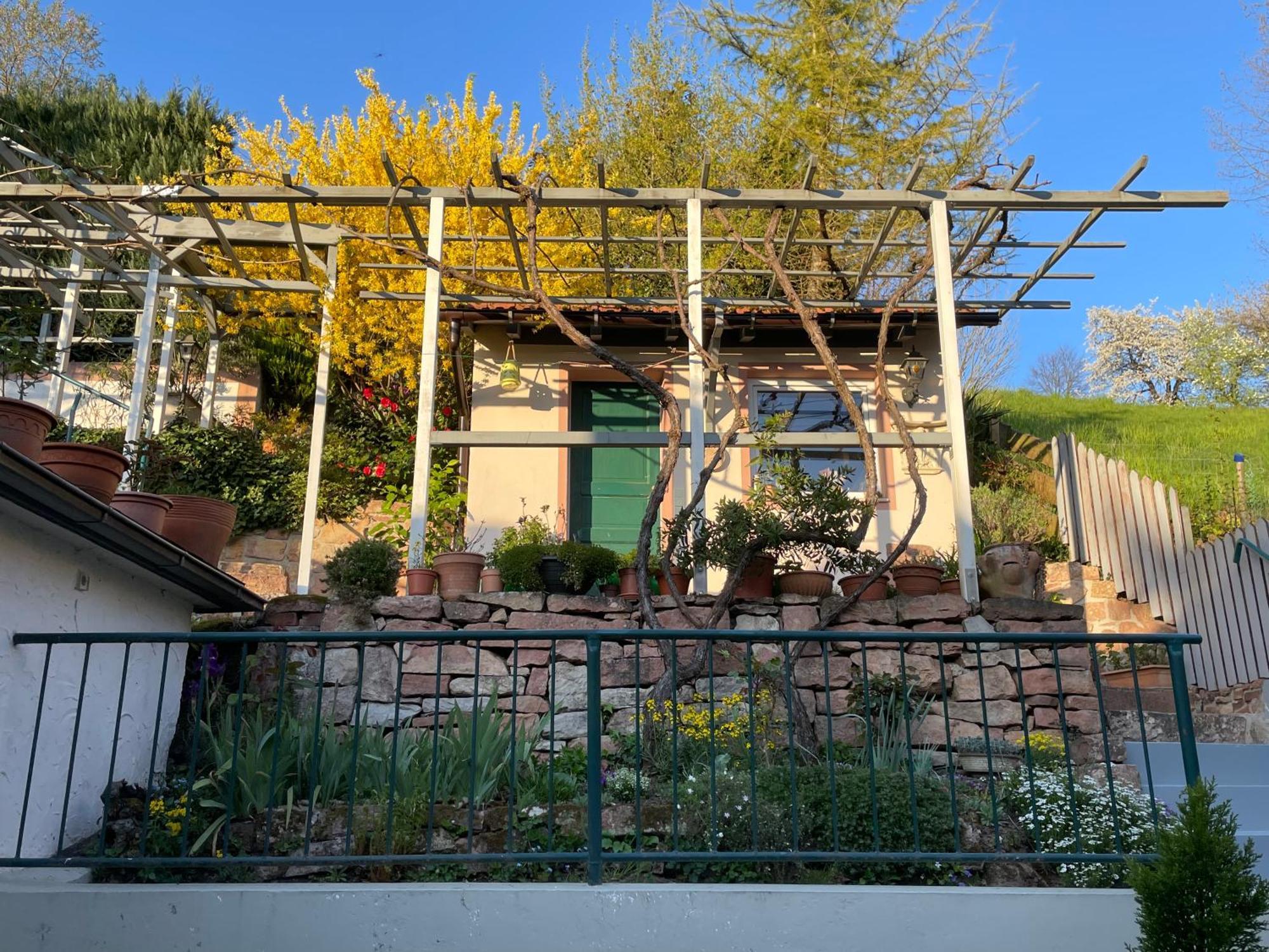Am Berggarten Heidelberg Exterior foto