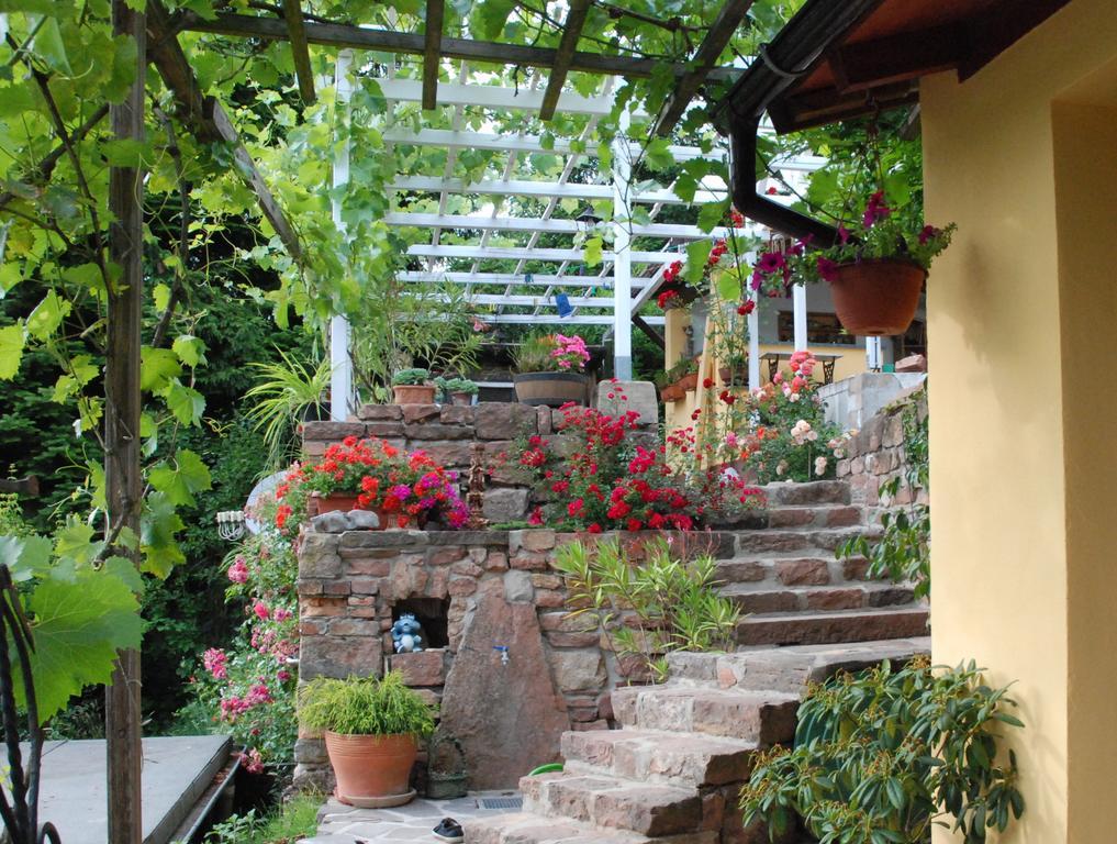 Am Berggarten Heidelberg Exterior foto