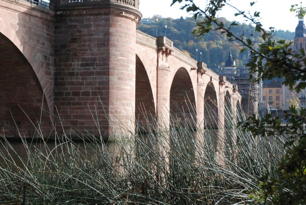 Am Berggarten Heidelberg Exterior foto