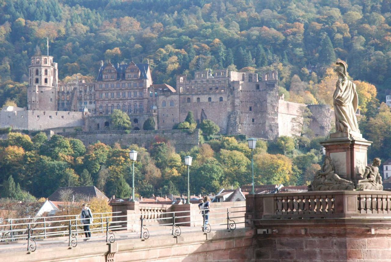Am Berggarten Heidelberg Exterior foto