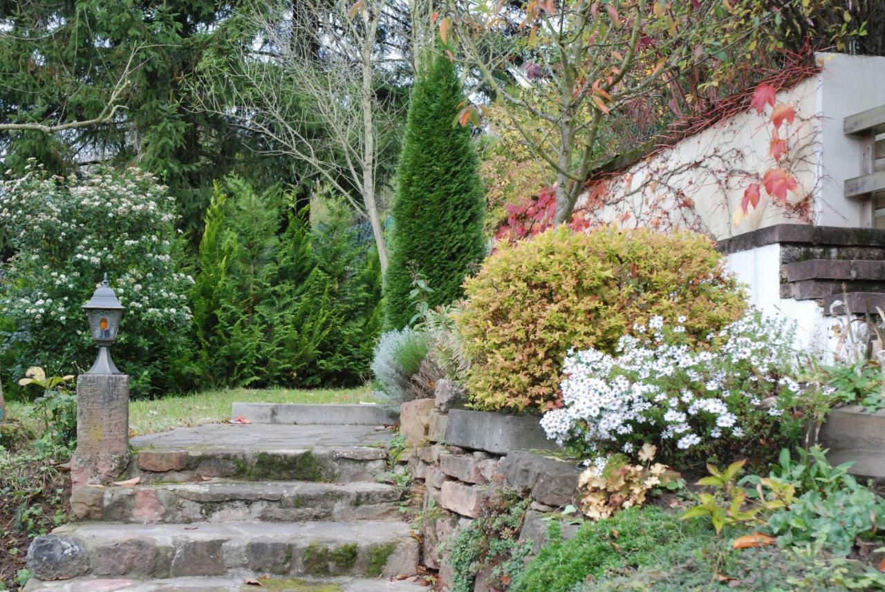 Am Berggarten Heidelberg Exterior foto
