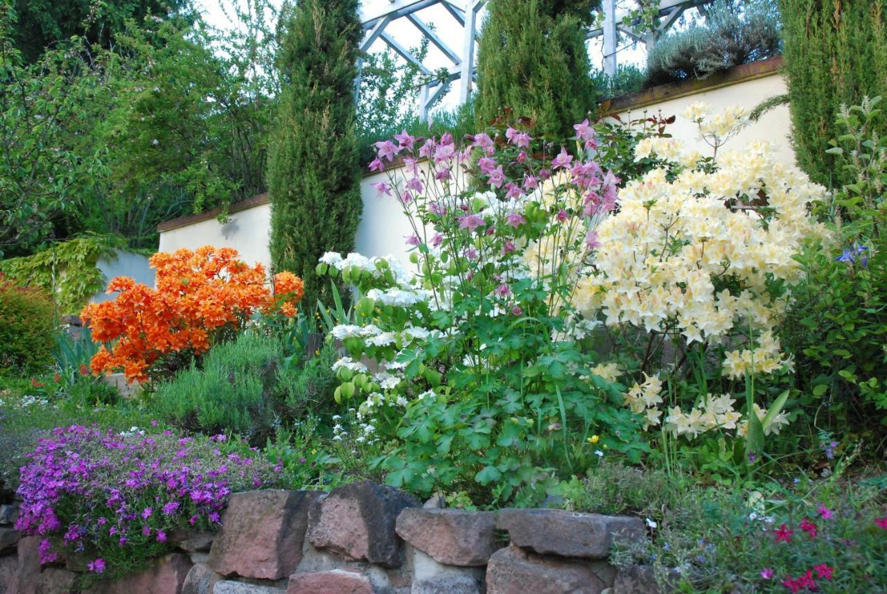 Am Berggarten Heidelberg Exterior foto
